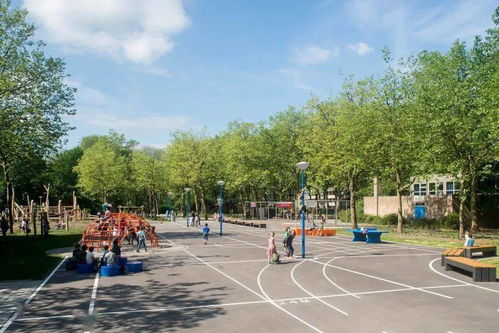 自然与人工的和谐交响 打造完美儿童乐园的新型露天游乐场所