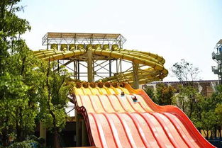 端午溜娃不重样 在武汉这几个地方都可以带伢克